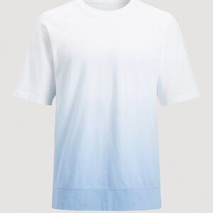 Jane + Delancey Ombre Top T-shirt 1X Women's blue Coastal Cottagecore Gradient